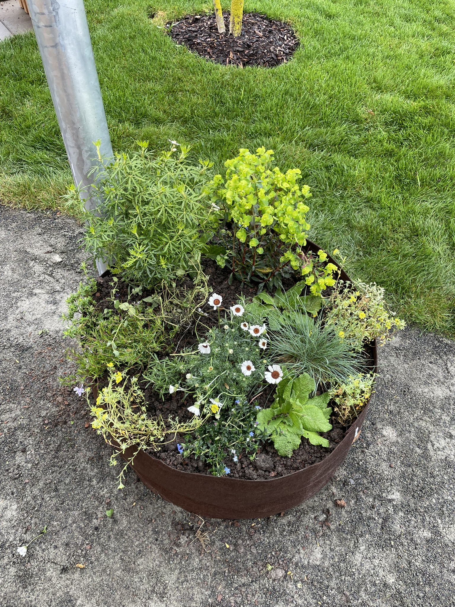 Bild 4