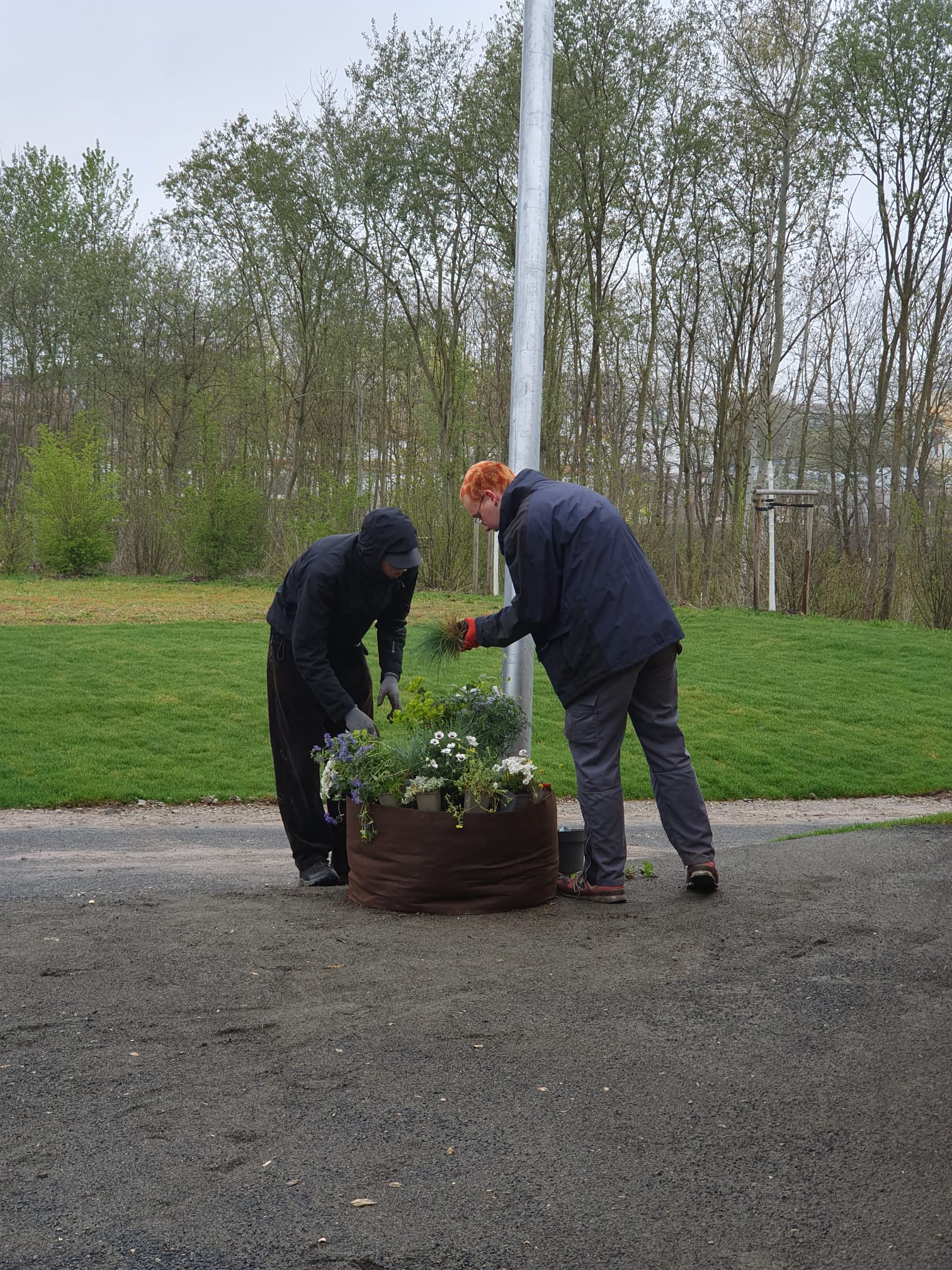 Bild 2